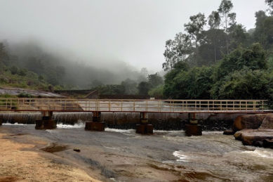 Rainforest Resort in Araku